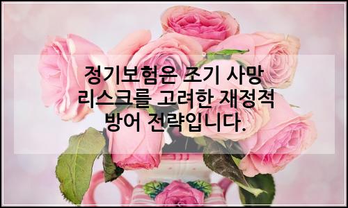 오늘의 이미지
