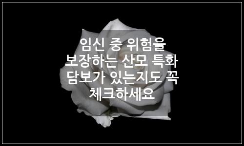 오늘의 이미지