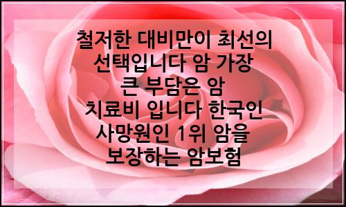 오늘의 이미지