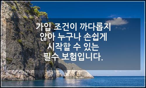 오늘의 이미지