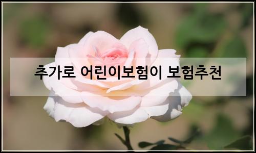 오늘의 이미지