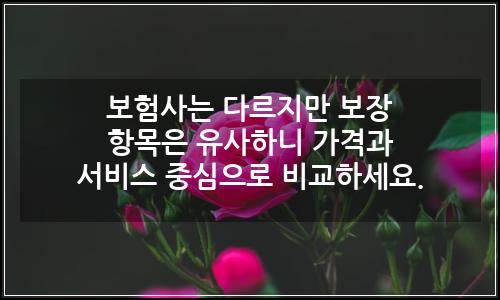 오늘의 이미지