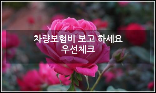 오늘의 이미지