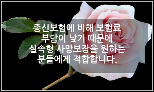 오늘의 이미지