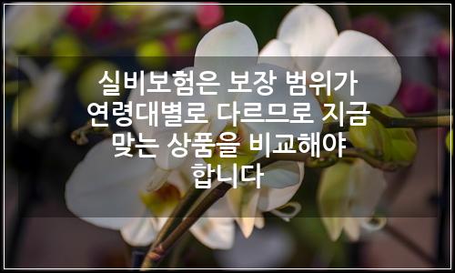 오늘의 이미지