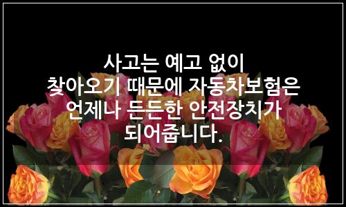 오늘의 이미지