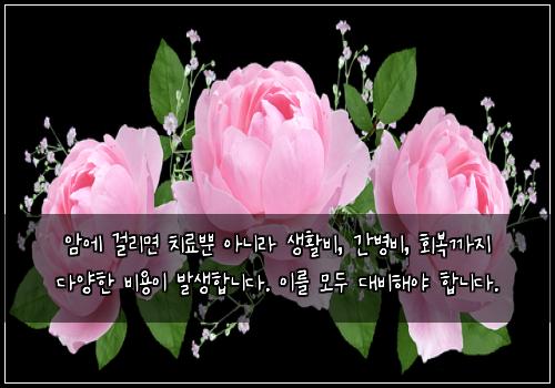 암에 걸리면 치료뿐 아니라 생활비, 간병비, 회복까지 다양한 비용이 발생합니다. 이를 모두 대비해야 합니다.