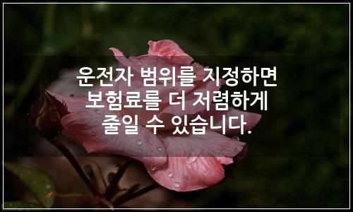 오늘의 이미지