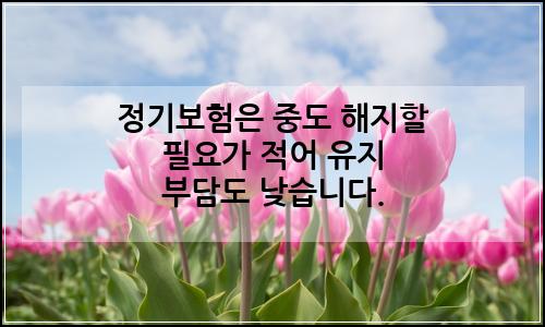 오늘의 이미지