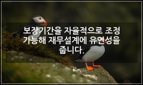 오늘의 이미지