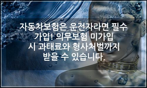 오늘의 이미지