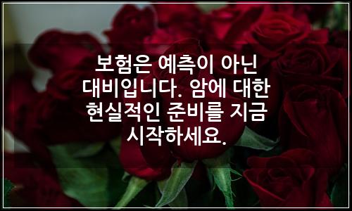 오늘의 이미지