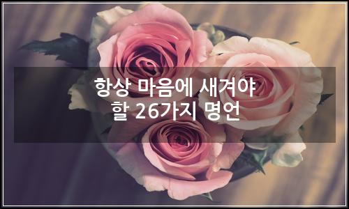 오늘의 이미지