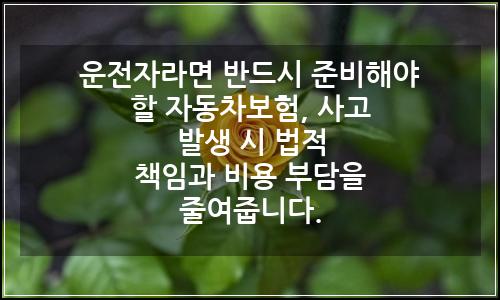 오늘의 이미지