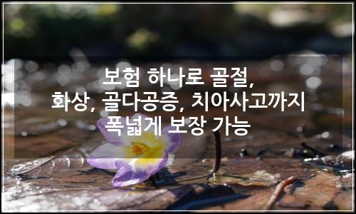 오늘의 이미지