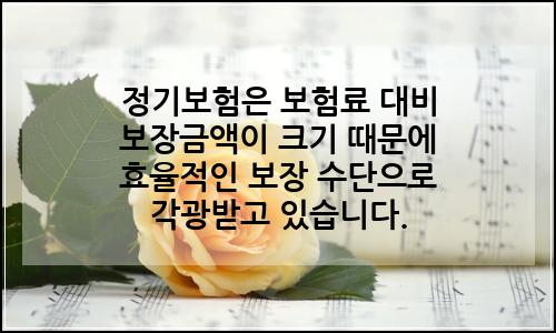 오늘의 이미지