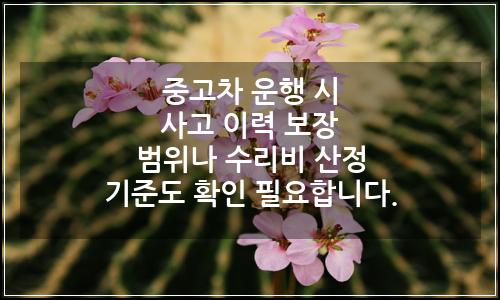 오늘의 이미지