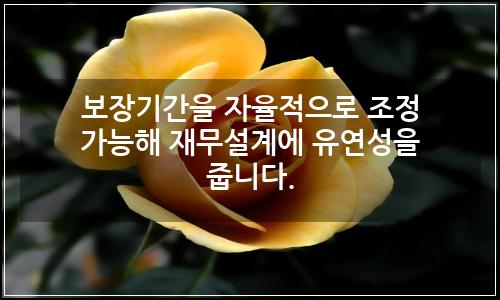 오늘의 이미지