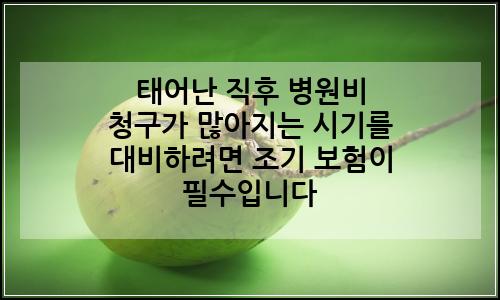 오늘의 이미지
