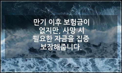 오늘의 이미지
