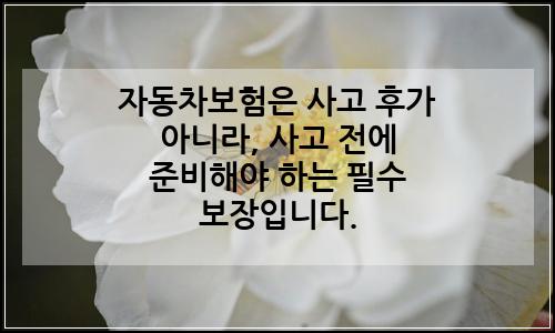 오늘의 이미지