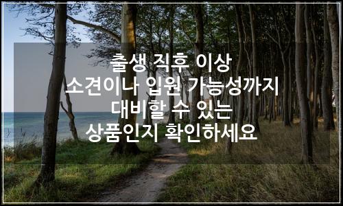 오늘의 이미지