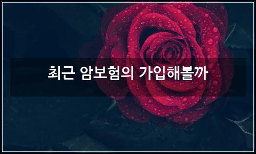 오늘의 이미지