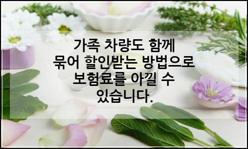 오늘의 이미지