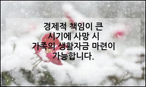 오늘의 이미지