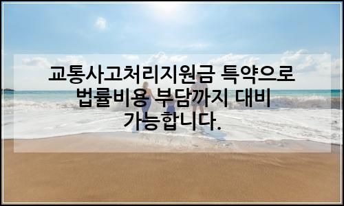 오늘의 이미지