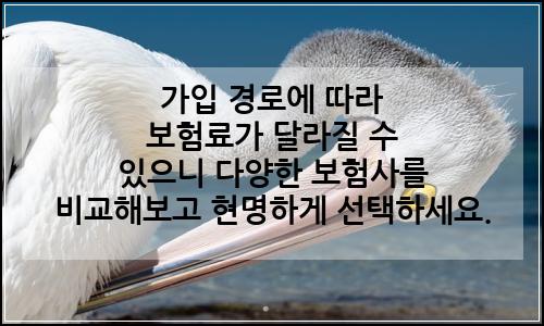 오늘의 이미지