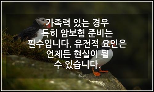 오늘의 이미지
