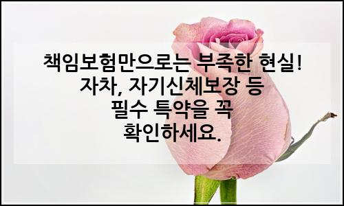 오늘의 이미지