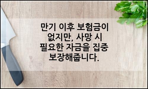 오늘의 이미지