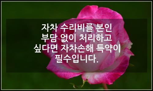 오늘의 이미지