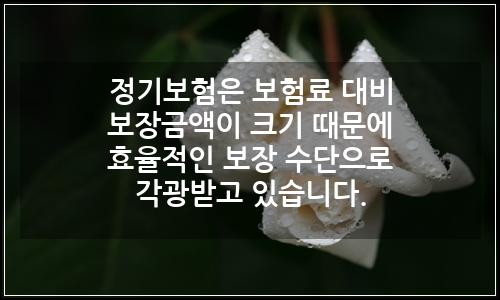 오늘의 이미지