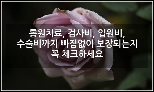 오늘의 이미지