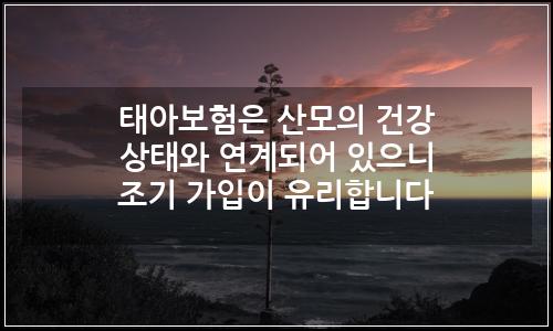 오늘의 이미지