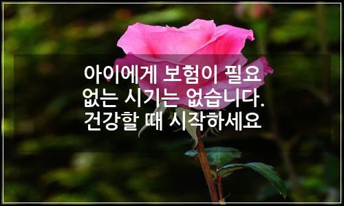 오늘의 이미지