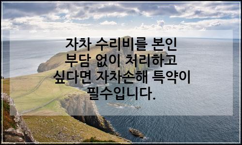 오늘의 이미지