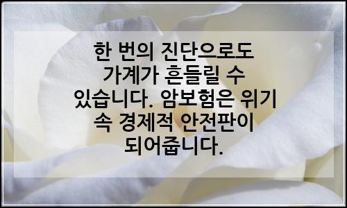 오늘의 이미지