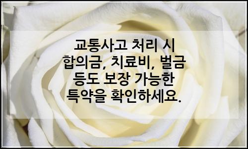 오늘의 이미지