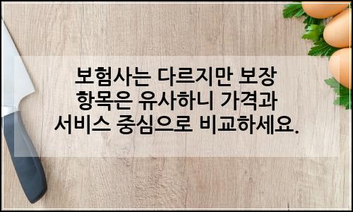오늘의 이미지