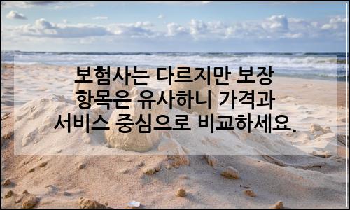 오늘의 이미지