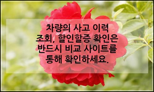 오늘의 이미지