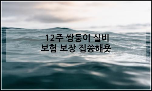 오늘의 이미지