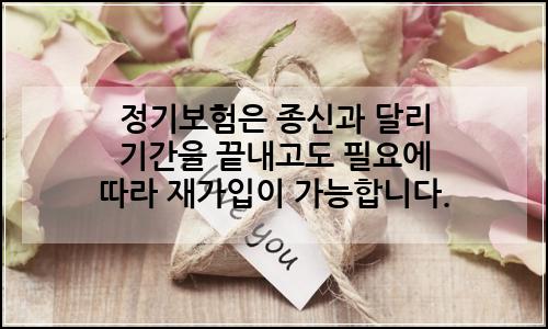 오늘의 이미지