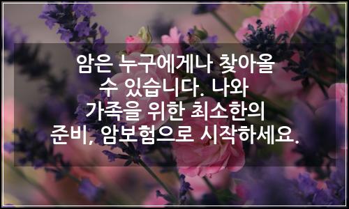 오늘의 이미지