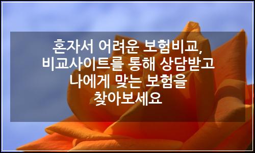 오늘의 이미지