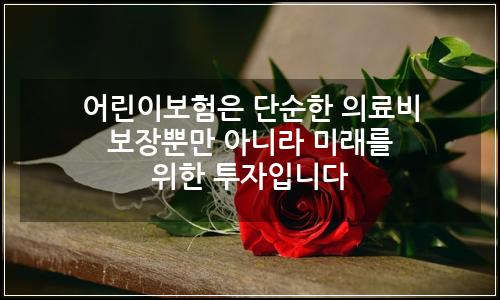 오늘의 이미지